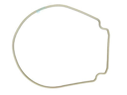 Pentair Whisperflo & Intelliflo Seal Plate Gasket | Almond | 357102 357102Z