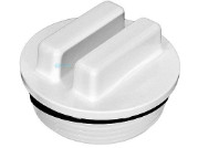 Hayward 1.5" Winterization Plug With O-Ring | SP1022C | 63304