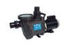 Waterway Champion 1-1/2 HP Swimming Pool Pump 115/230V | CHAMPS-115 | 62116