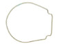 Pentair Whisperflo & Intelliflo Seal Plate Gasket | Almond | 357102 357102Z